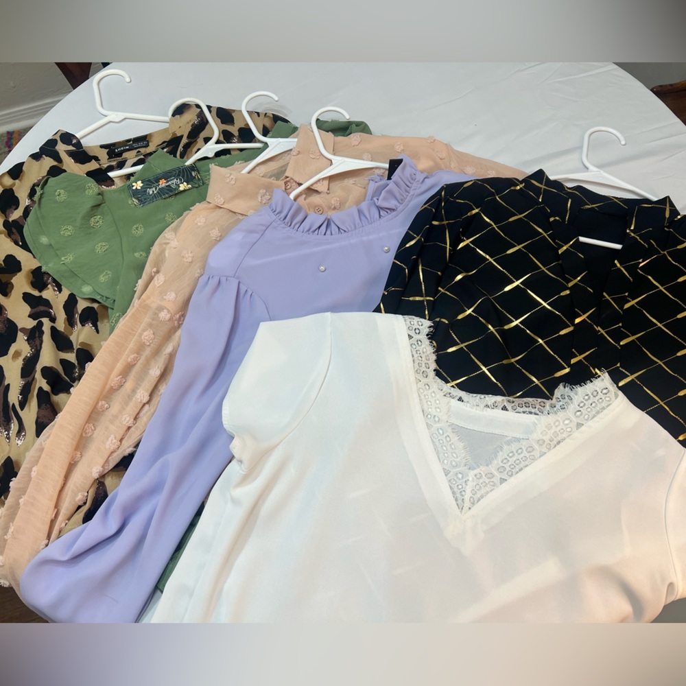 6 Assorted Blouses in Various Colors